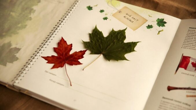 Zdroj foto: Pixabay.com