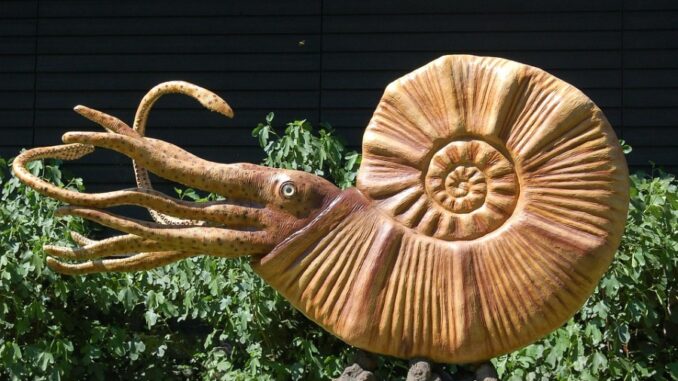 Zdroj foto: Pixabay.com