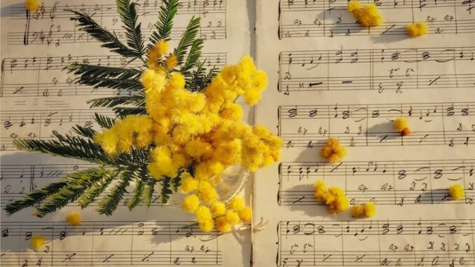 Zdroj foto: Pixabay.com