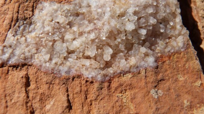 Zdroj foto: Pixabay.com