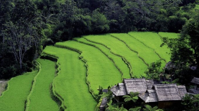 Zdroj foto: MKS Tachov
