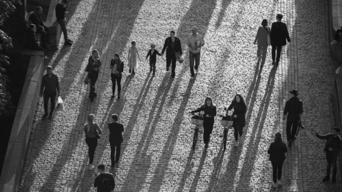 Zdroj foto.Pixabay.com