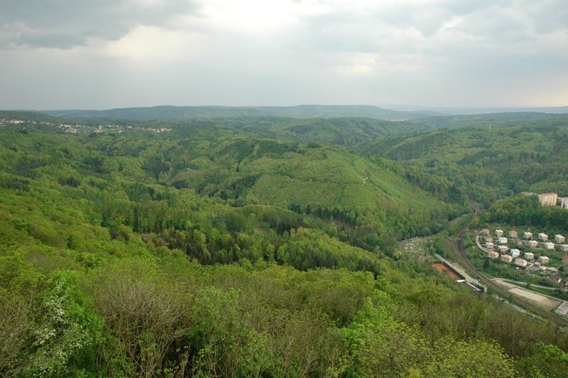 Přírodní rezervace Dřínová.