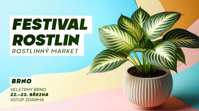 Festival rostlin