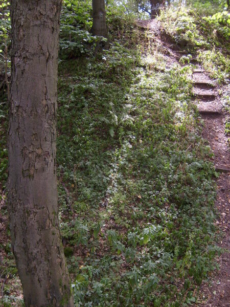 Zřícenina hradu Kozlov.