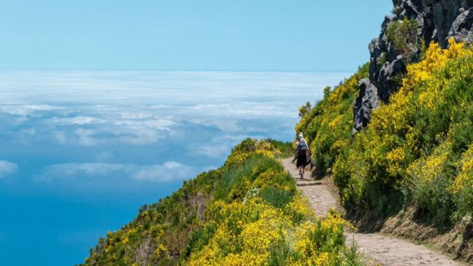 Zdroj foto: Pixabay.com