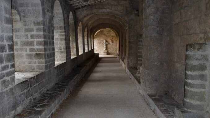 Zdroj foto.Pixabay.com