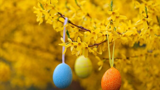 Zdroj foto.Pixabay.com