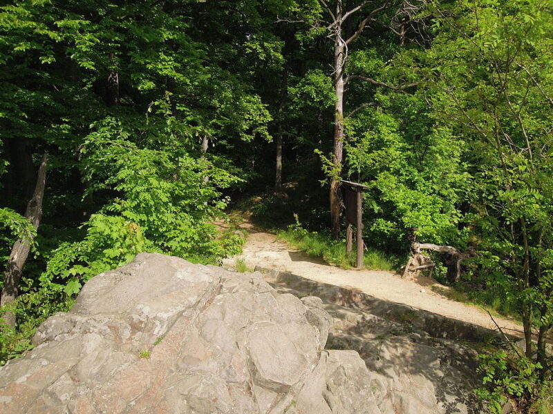 Národní přírodní rezervace Hůrka u Hranic.