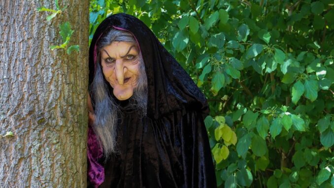 Zdroj foto: Pixabay.com