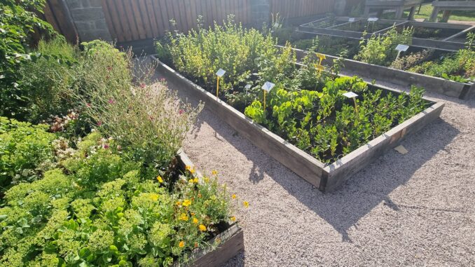 bylinková zahrada Žireč