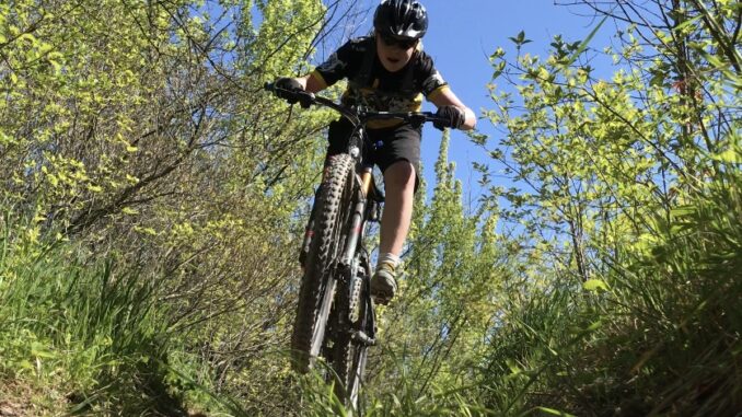 Ilustrační foto: commons.wikimedia.org