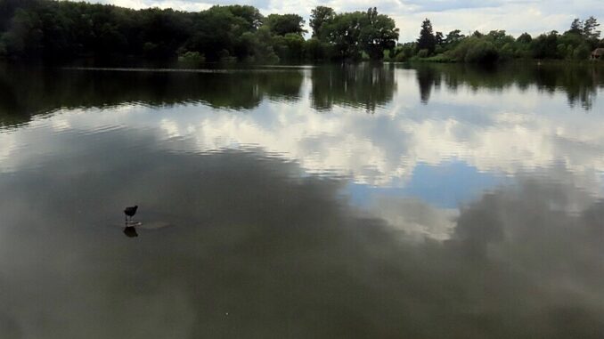 Ilustrační foto: commons.wikimedia.org