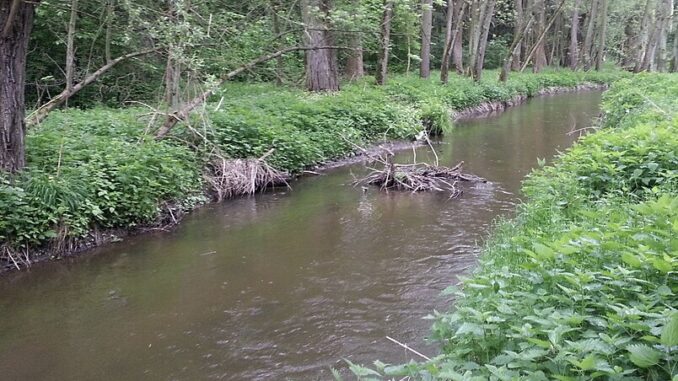 Ilustrační foto: commons.wikimedia.org