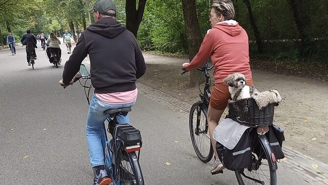 Ilustrační foto: commons.wikimedia.org