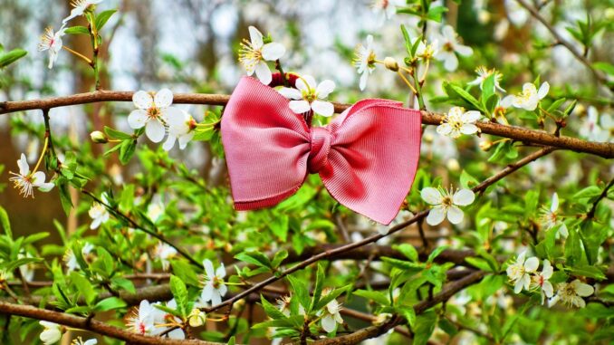 Ilustrační foto. Zdroj: Pixabay.com