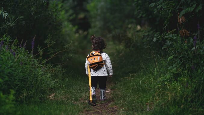 Ilustrační foto. Zdroj: Pixabay.com