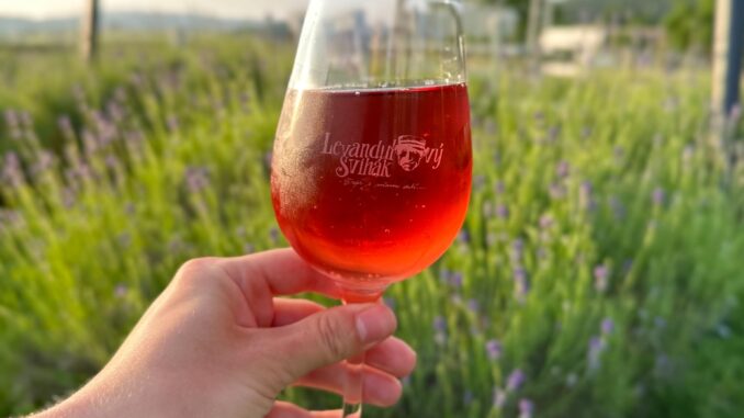 Levandulový statek Bezděkov