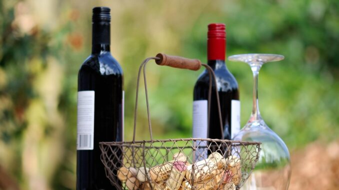 Ilustrační foto. Zdroj: Pixabay.com