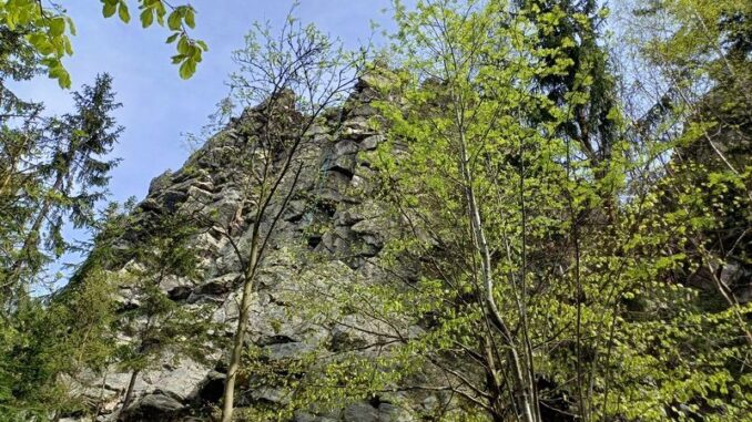 Drátenická skála ve Žďárských vrších. Foto: Anna Petruželková