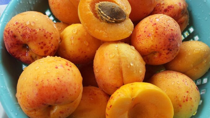 Ilustrační foto. Zdroj: Pixabay.com