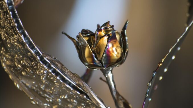 Zdroj foto: Pixabay.com