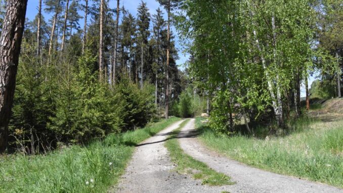 Zdroj foto: FB Fotosen