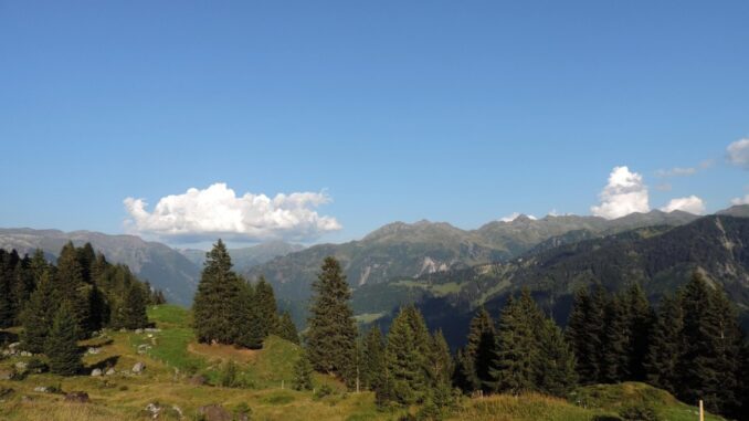 Zdroj foto: Pixabay.com