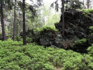 Halštrov. Goethova skalka.