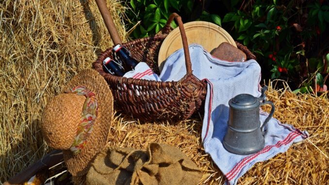 Zdroj foto: Pixabay.com