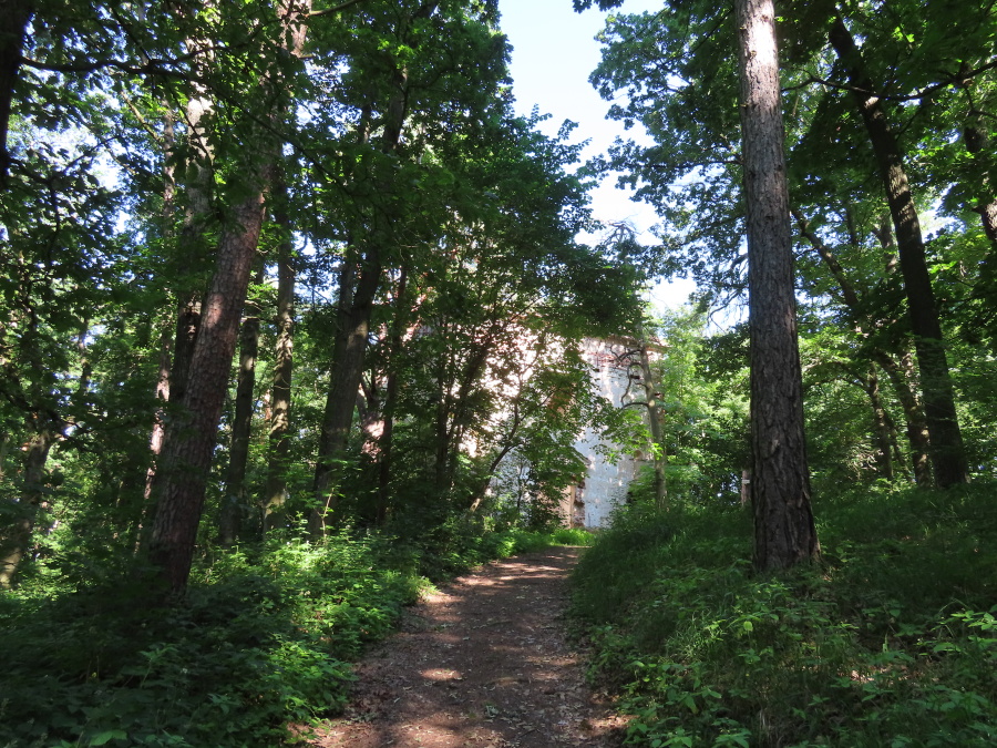 Zřícenina kaple sv. Jana Nepomuckého u Týnce. Foto: Pavla Košík Jelínková