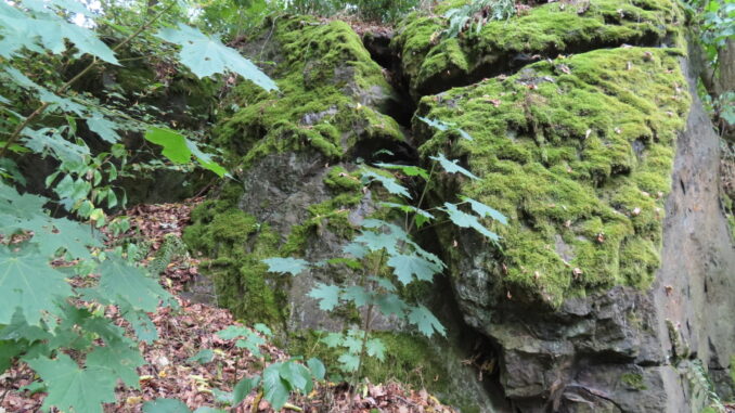 Ilustrační foto. Zdroj foto: Pavla Košík Jelínková