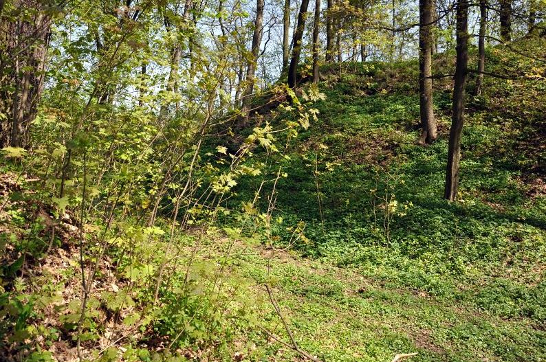 Pozůstatky hradu Vrtba. Foto: Petr Fabian. Zdroj: <a href="http://www.hrady-zriceniny.cz">Hrady-zříceniny.cz</a>