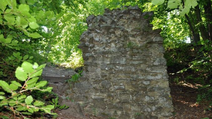Zřícenina hradu Křídlo v okrese Kroměříž. Foto: Petr Fabian. Zdroj: Hrady-zříceniny.cz