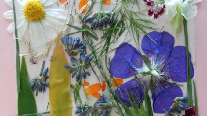 Zdroj foto: Pixabay.com