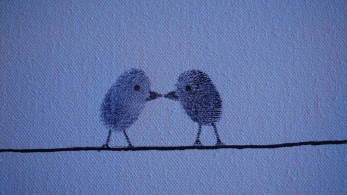 Zdroj foto Pixabay.com