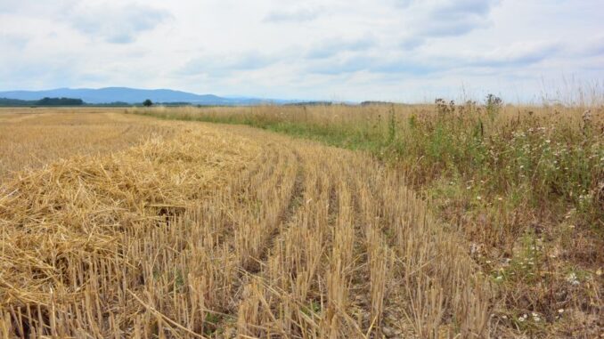 Zdroj foto: FB Fotosen
