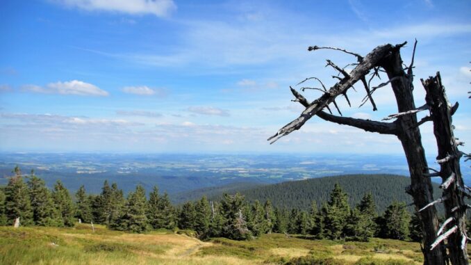 Zdroj foto: Pixabay.com