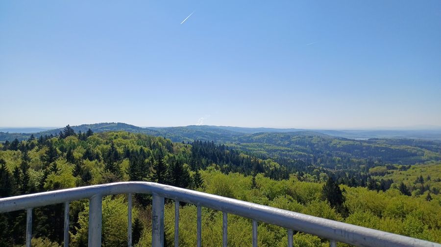 Výhled z rozhledny Jarník. Foto: Anna Petruželková