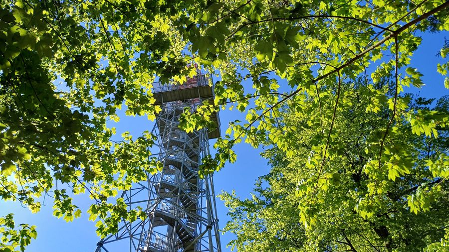 Rozhledna Jarník u Písku. Foto: Anna Petruželková