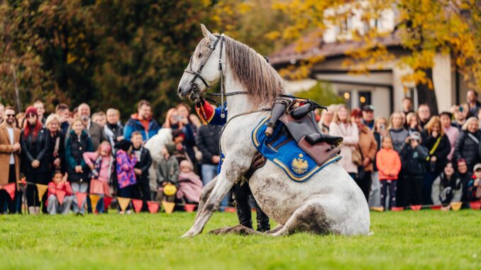Zdroj: FB profil Podzimní městské slavnosti