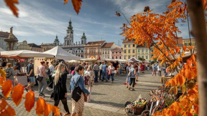 Podzimní švestkové trhy v Českých Budějovicích. Zdroj: Město České Budějovice