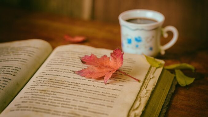 Zdroj foto: Pixabay.com