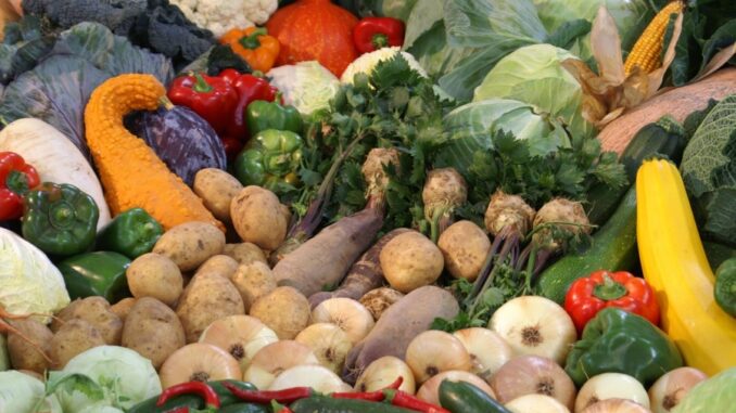 Zdroj foto: Pixabay.com