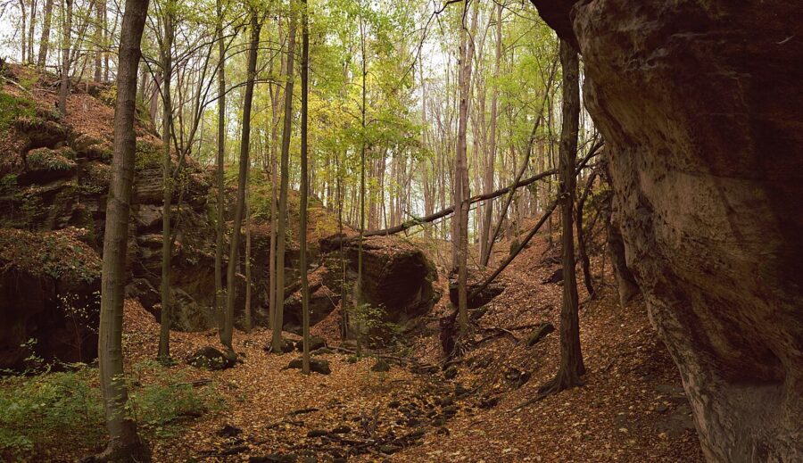 Kaňon potoka Kolné.