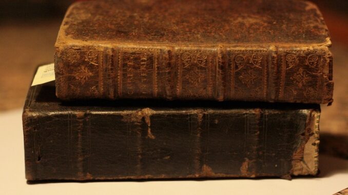 Zdroj foto: Pixabay.com