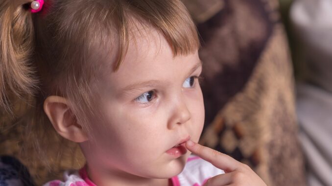 Ilustrační foto. Zdroj: Pixabay.com