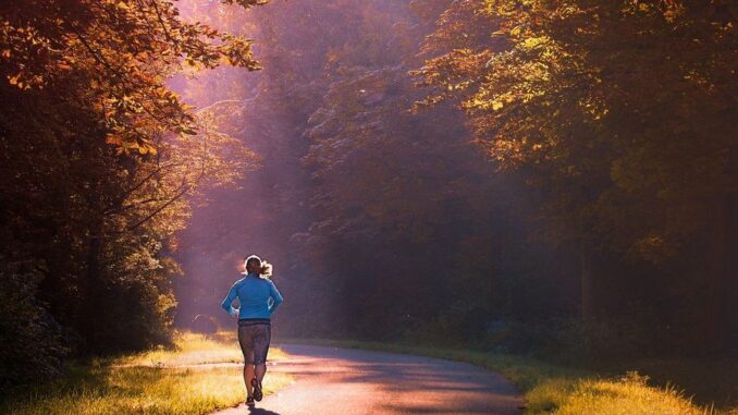 Zdroj foto: Pixabay.com