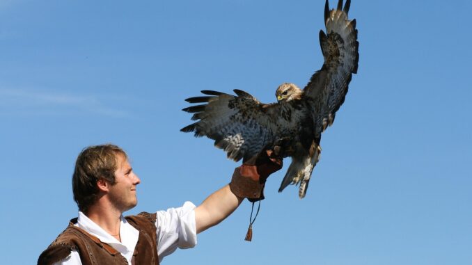 Ilustrační foto. Zdroj: Pixabay.com