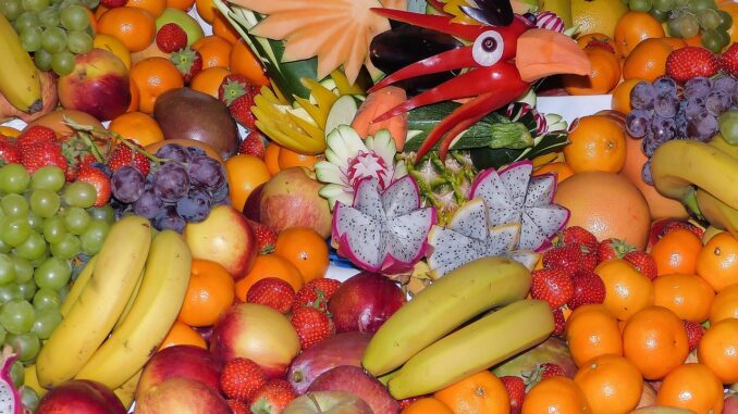 Ilustrační foto. Zdroj: Pixabay.com